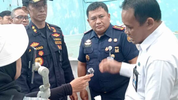 Patroli Laut Bea Cukai Kepri Gagalkan Penyelundupan Benih Lobster Senilai Hampir Rp13 Miliar